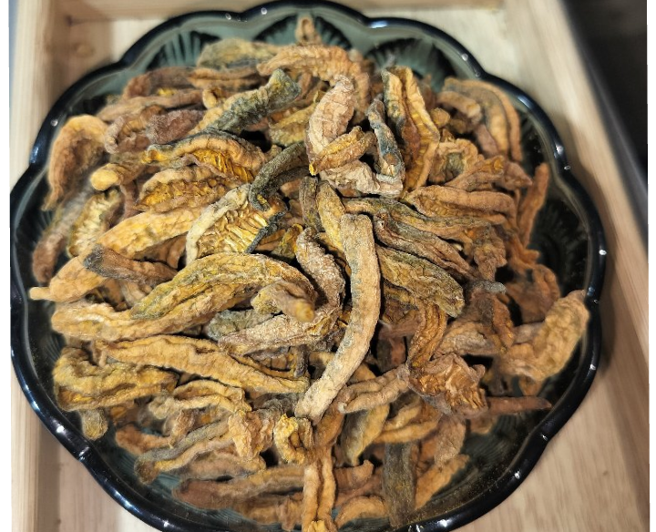 Tindora chachri